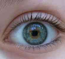 Acanthamoeba keratitis očiju: liječenje, simptomi, dijagnoza