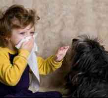 Alergije kod djece