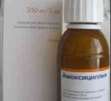 Amoksicilin za ulkusa želuca