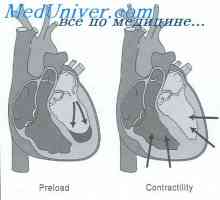 Anomalije embrionalnog bubrega. Oblici fetalnog bubrega patologija