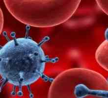 Autoimuna hemolitička anemija: Liječenje, uzroci, simptomi, dijagnoza