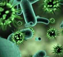 Bakterijske infekcije