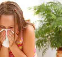 Bakterija uzrok bolesti dišnog