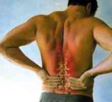 Bol u leđima s boli u području ramena