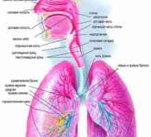 Dijagnoza i diferencijalna dijagnoza upale pluća