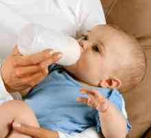 Oblik i funkciju dojenčad: prašci, koncentrati i spremni za korištenje, smjesa