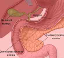 Gastritis i gastroduodenitis: koja je razlika?