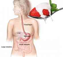 Gastro - potpuna i nepotpuna remisija