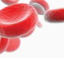 Hemoglobin (haemoglobinopathies)