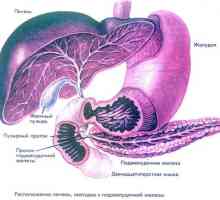 Hepatomegaliju, masnom pankreatitisa i pankreasa i jetre