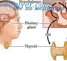 Antithyroid agenti. Inhibiciju funkcije štitnjače