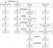 Karakteristike masti (lipida) i masnih kiselina
