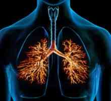 Kronični bronhitis, liječenje, simptoma, znakova, uzroka, za prevenciju, dijagnozu