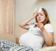 Infekcije u trudnoći: liječenje, simptomi, znakovi, uzroci