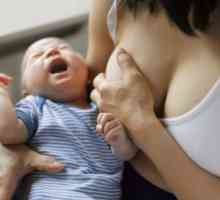 Intersticijske plućne bolesti novorođenčadi