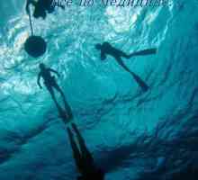 Povijest duboki morski ronjenje. Fiziologija zasićeni ronjenje