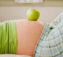 Promjena genitalije i mliječne žlijezde trudna