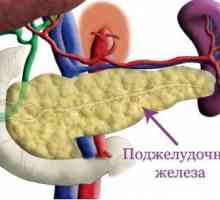 Egzokrine funkcije pankreasa
