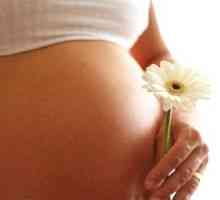 Kako se pripremiti za trudnoću
