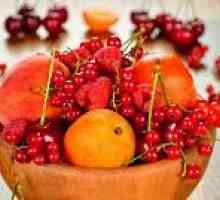 Što voće se može jesti s ulkus dvanaesnika?
