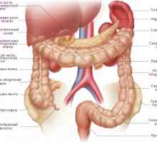 Crijeva, pankreasa i dvanaesnika s pankreatitisom