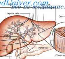 Cistična adenomatozna malformacija pluća. Uzroci pluća malformacija fetusa