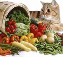 Hrana, prehrana i dijeta za pse i mačke s pankreatitisom od hrane?