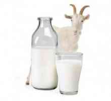 Liječenje gastritisa s kozjeg mlijeka