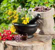 Gastritis liječenje biljni biljni lijek