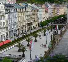 Liječenje i rehabilitacija u odmaralištu Karlovy Vary (Češka)