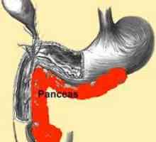 Liječenje pankreatitisa (gušterače) u akutnoj fazi