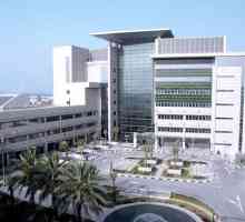 Liječenje u United Arab Emirates američke bolnice Dubaiju
