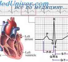 Distribucija električne struje oko srca. EKG oko srca