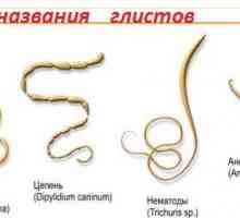 Medicinska znanstveni naziv crva (helminta), kako ih zovu kod ljudi?