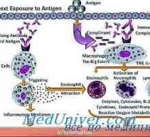 Mehanizmi alergijskih reakcija. Patogeneza alergije
