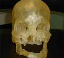 Model za transplantaciju lica može se ispisati na 3D-pisač