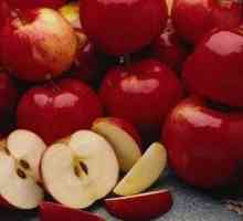 Mogu li jesti jabuke za pankreatitis (upala jetre, uz gušterače)?