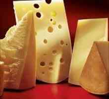 Mogu li jesti sir za gastritis?