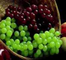 Možemo li grožđe pankreatitis?