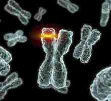 Mutacije koje dovode do nasljedne bolesti kod ljudi