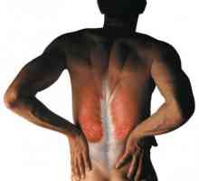 Mišićne spazme (leđa) lumbalne