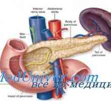Povreda metabolizam masti u dijabetes. vaskularnih lezija u dijabetes