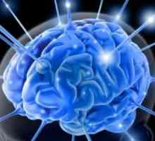 Glija sustav mozga