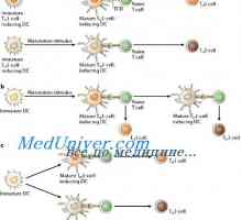 Procjena aktivaciju urođenog imuniteta. Procjena aktivnosti imunološkog sustava