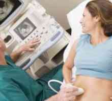 Procjena i upravljanje izvanplućni porijekla respiratorne insuficijencije u trudnoći
