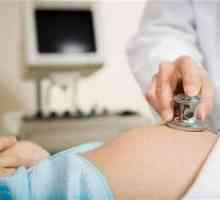 Amnionska tekućina tijekom trudnoće za testiranje curenje vode tijekom trudnoće, kako prepoznati