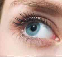 Optički sustav ljudskog oka i njegove dobne promjene
