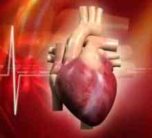 Tumori srca: benigni i maligni, liječenje, simptomi, uzroci, simptomi, klasifikacija, vrsta