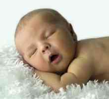 Beba organizacija spavanje u prvoj godini života