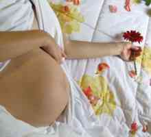 Pogotovo mokraćnog sustava u trudnoći